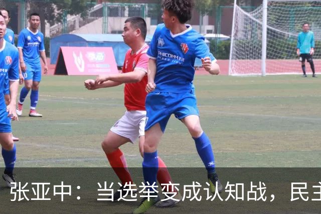 张亚中：当选举变成认知战，民主还有意义吗